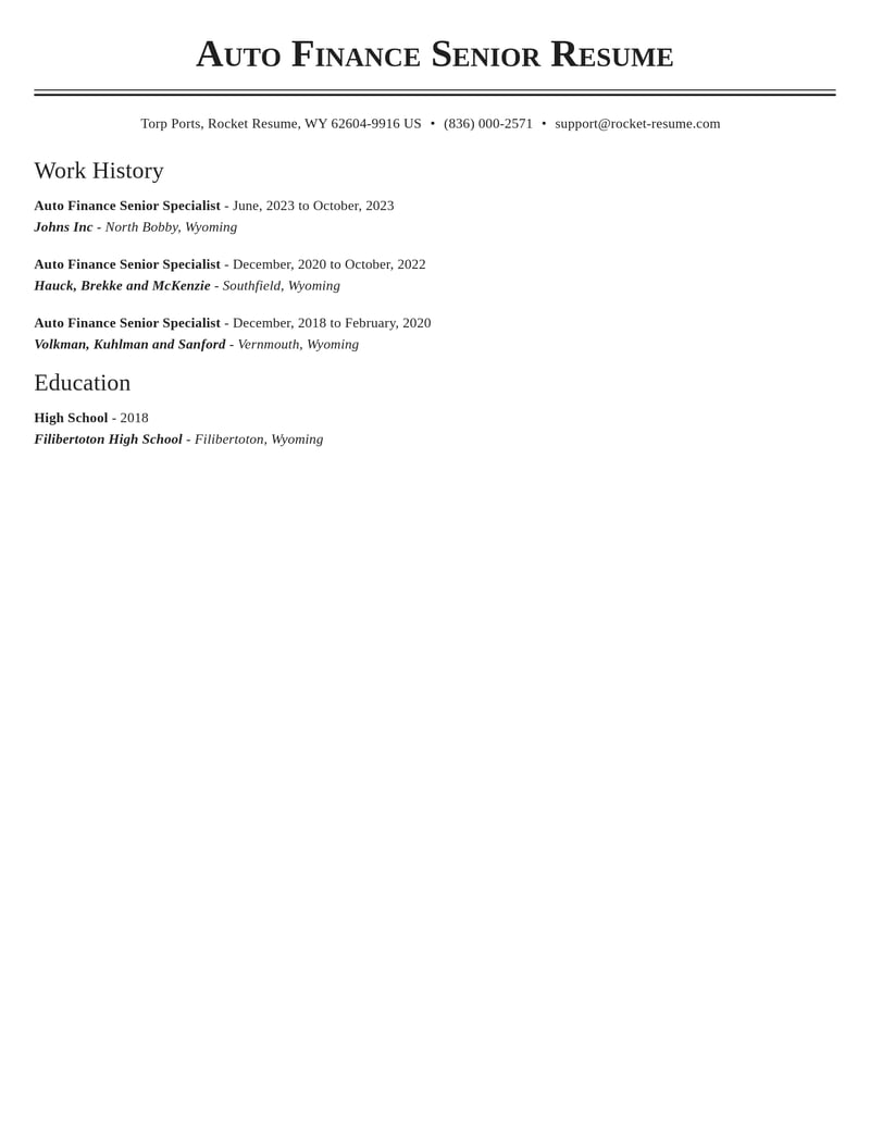 auto finance senior specialist accounting and finance resume classic template 0 cla