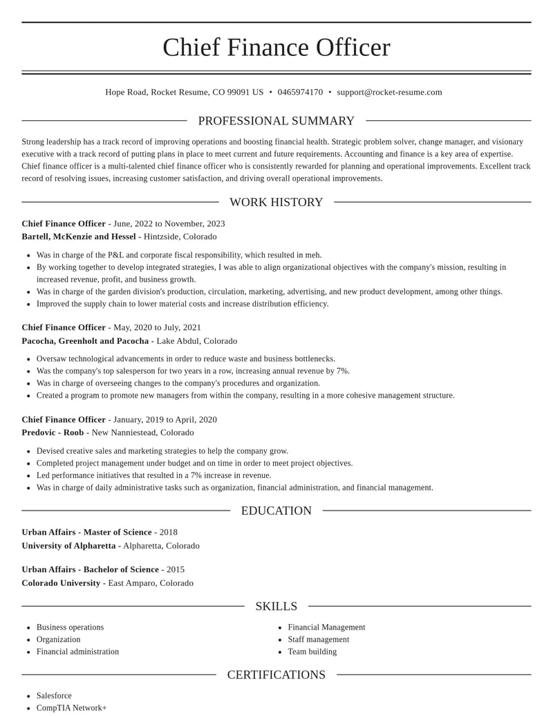 chief finance officer accounting and finance resume elegant template 2 ele