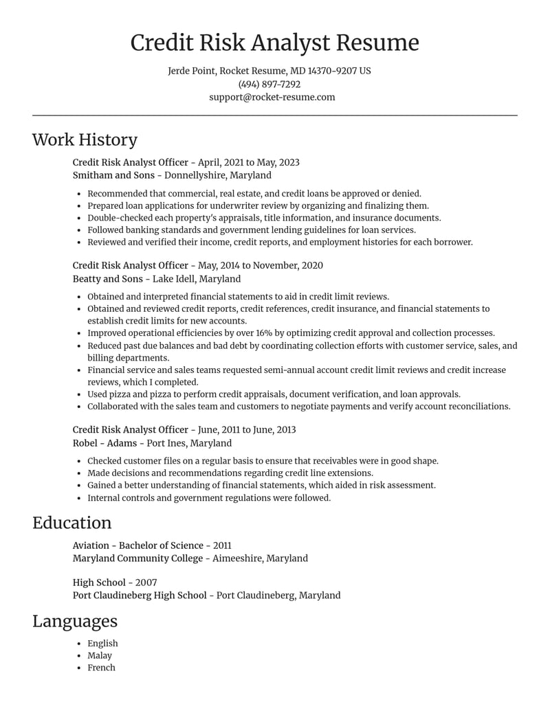 credit risk analyst officer accounting and finance resume focal point template 0 foc