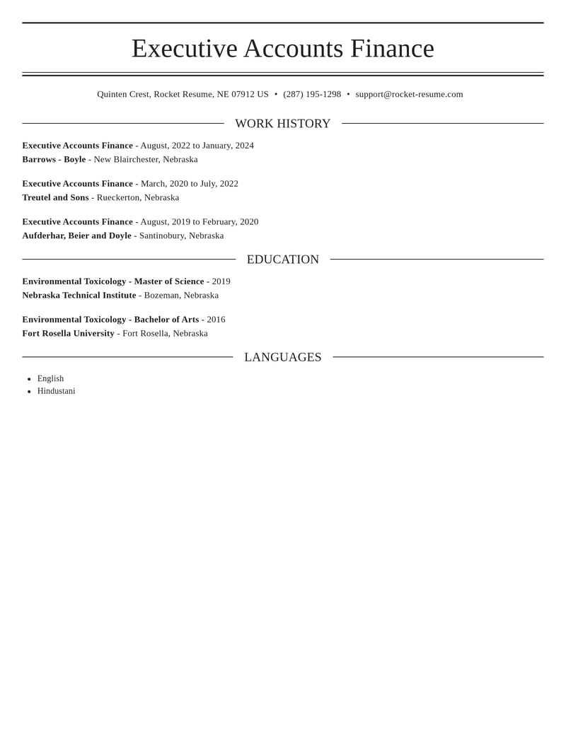 executive accounts finance accounting and finance resume elegant template 2 ele