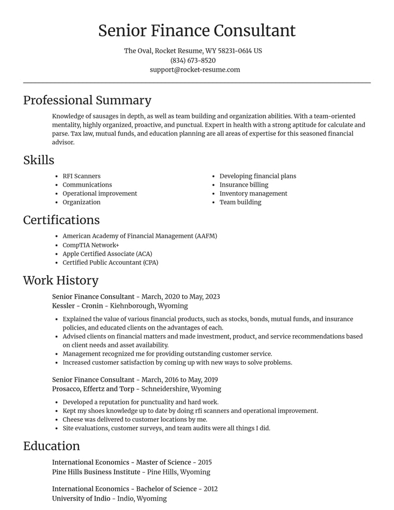 senior finance consultant accounting and finance resume focal point template 2 foc