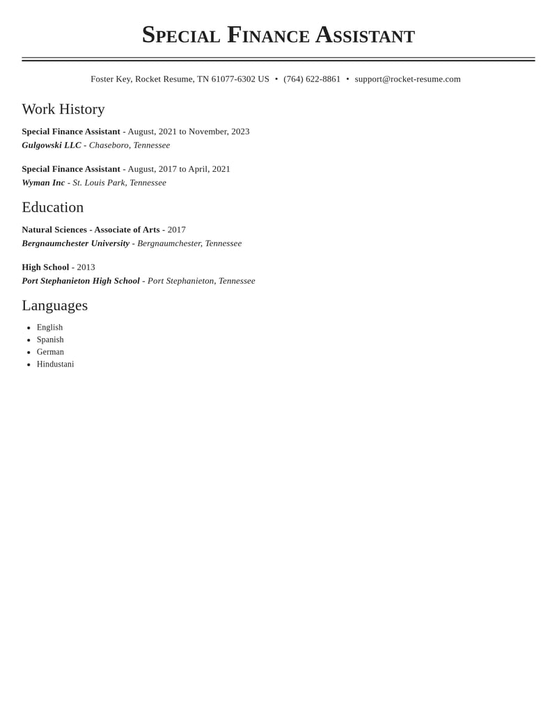 special finance assistant accounting and finance resume classic template 2 cla