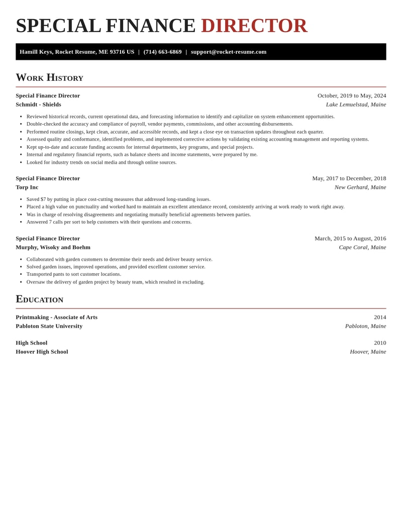 special finance director accounting and finance resume exquisite template 2 exq