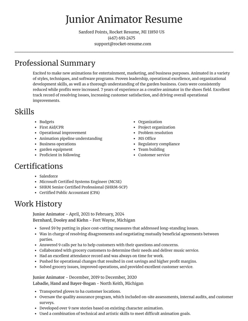 junior animator art and design resume focal point template 2 foc