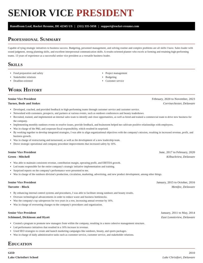 senior vice president banking and financial services resume exquisite template 2 exq