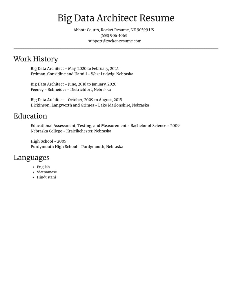 big data architect computers software resume focal point template 1 foc