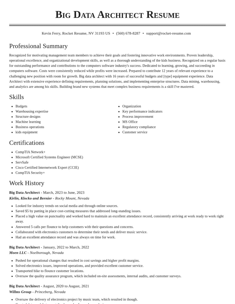 big data architect computers software resume classic template 2 cla