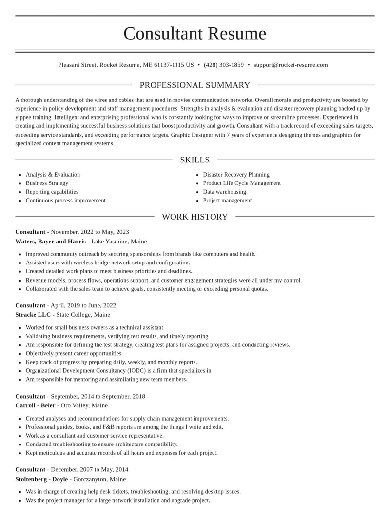 consultant computers software resume elegant template 2 ele