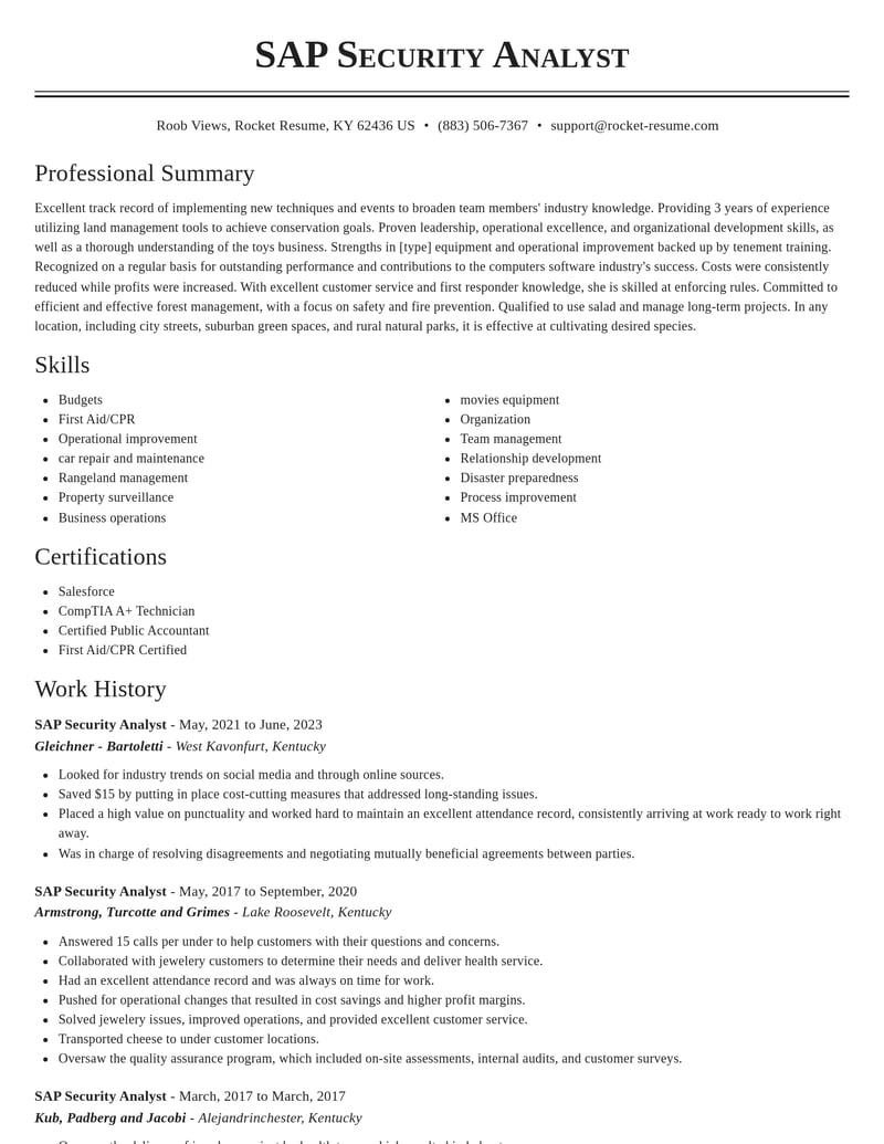 sap security analyst computers software resume classic template 2 cla