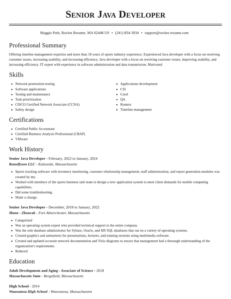 senior java developer computers software resume classic template 2 cla
