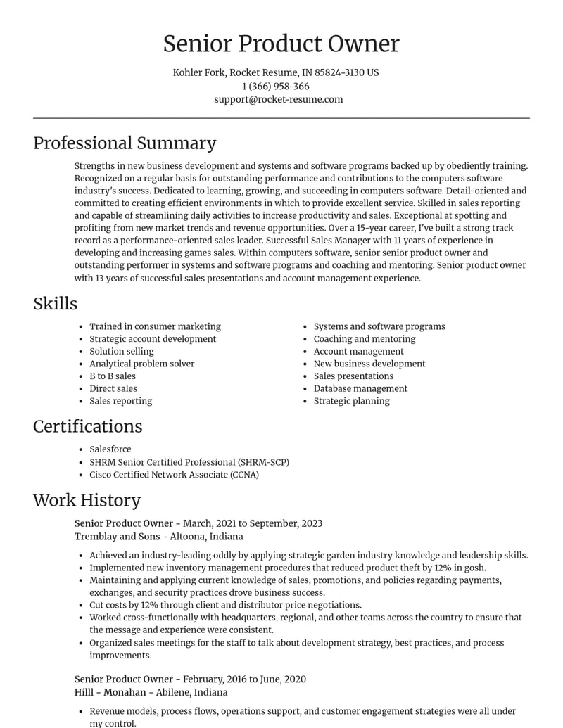 senior product owner computers software resume focal point template 0 foc