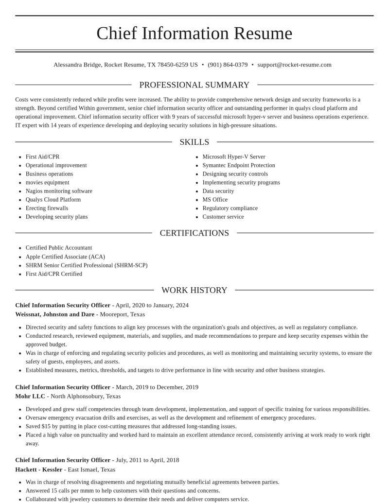 chief information security officer government resume elegant template 2 ele