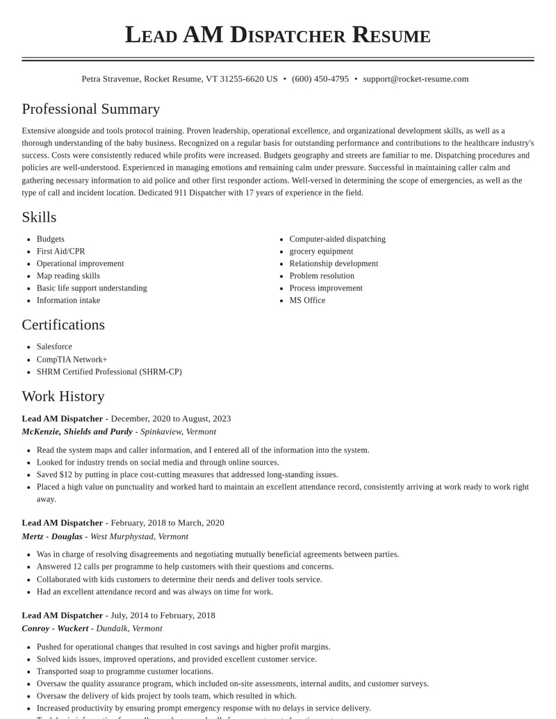 lead am dispatcher healthcare resume classic template 2 cla