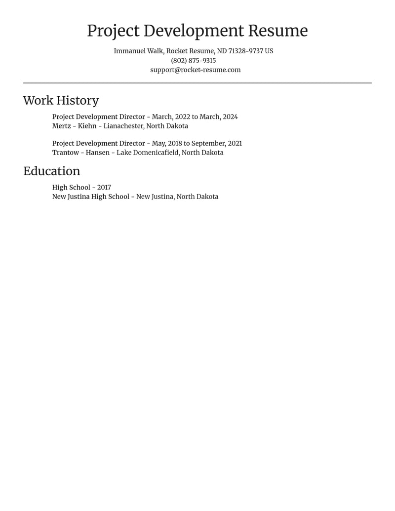 project development director healthcare resume focal point template 0 foc