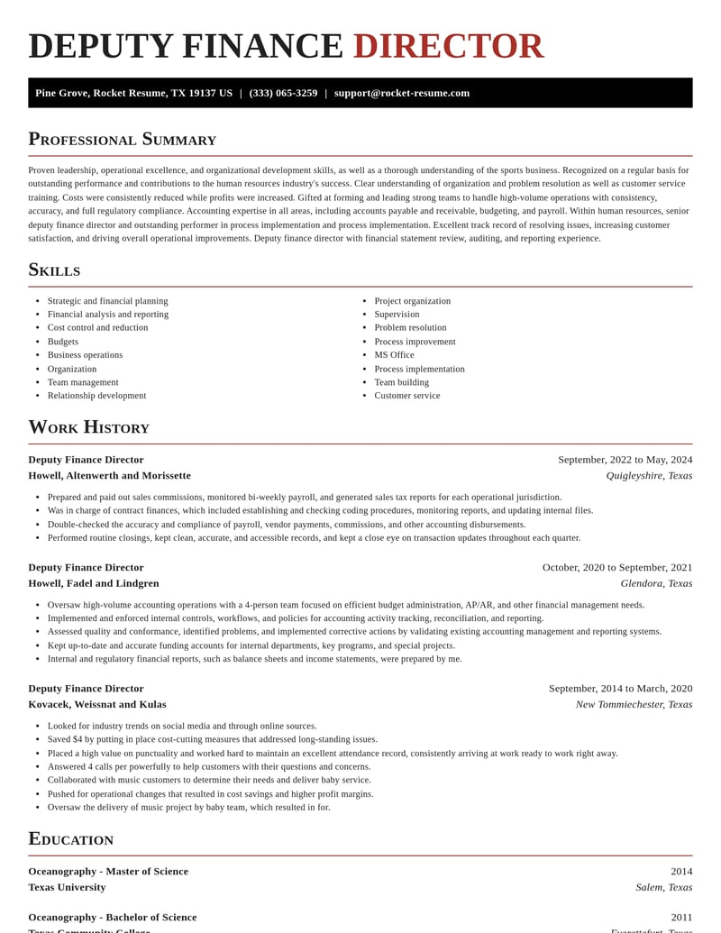 deputy finance director human resources resume exquisite template 0 exq
