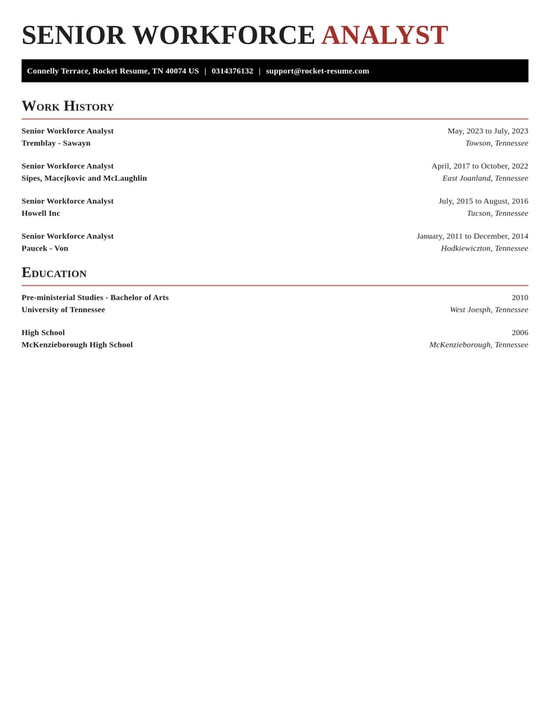 senior workforce analyst human resources resume exquisite template 2 exq