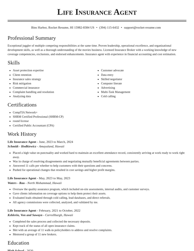 life insurance agent insurance resume classic template 2 cla
