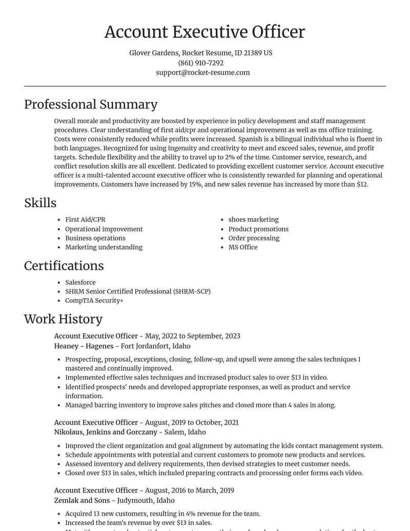 account executive officer misc resume focal point template 1 foc