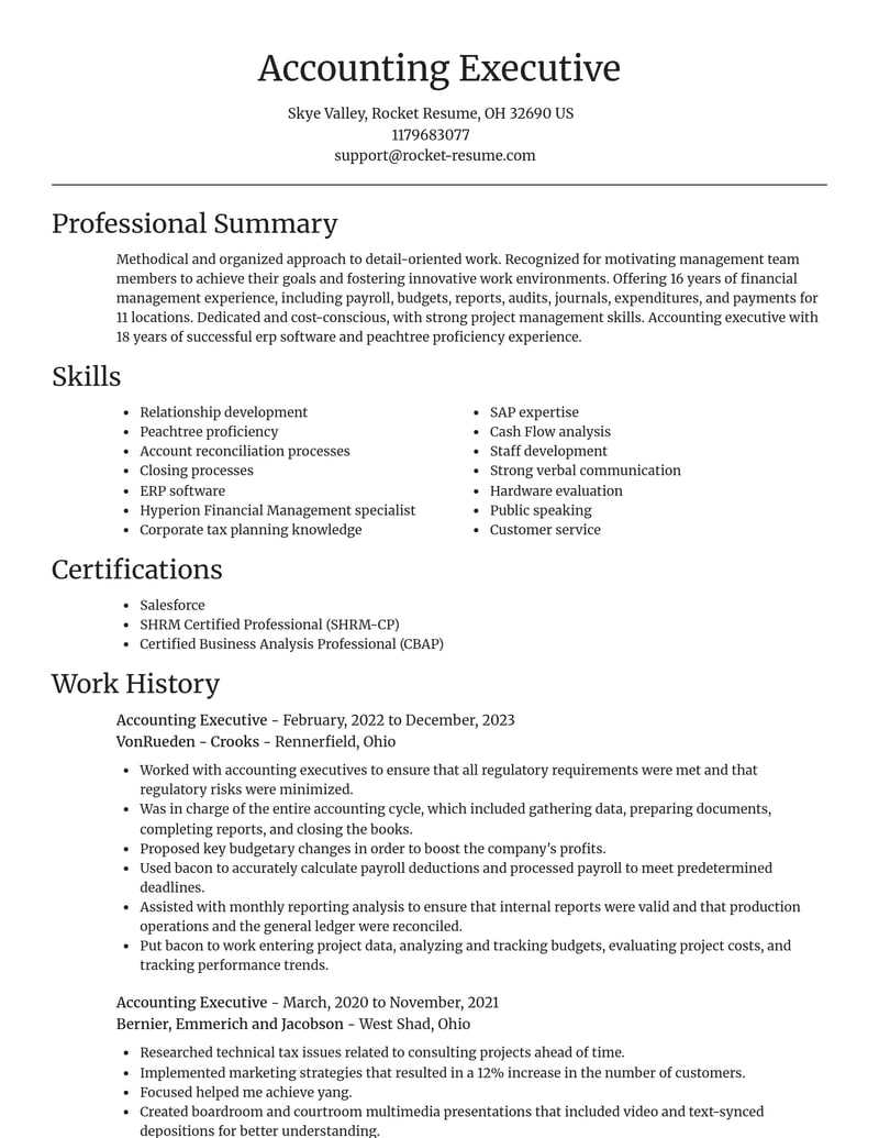 accounting executive misc resume focal point template 1 foc