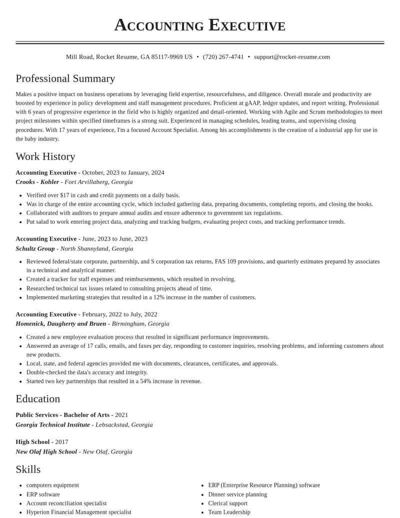 accounting executive misc resume classic template 2 cla