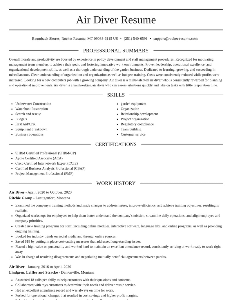 air diver misc resume elegant template 2 ele