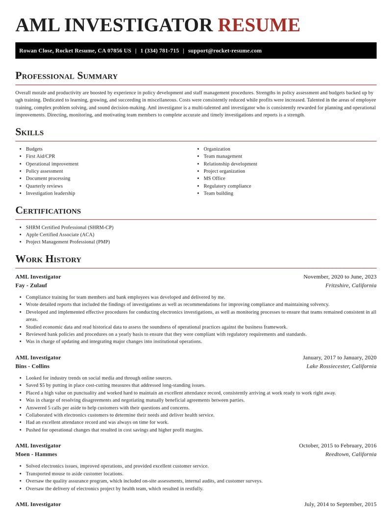 aml investigator misc resume exquisite template 1 exq