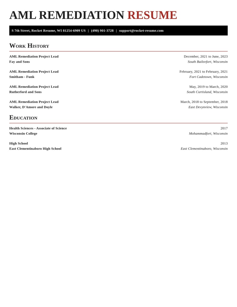 aml remediation project lead misc resume exquisite template 2 exq