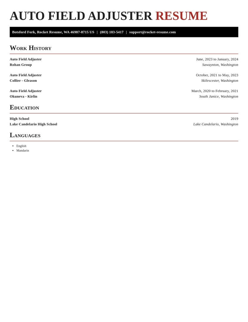 auto field adjuster misc resume exquisite template 2 exq