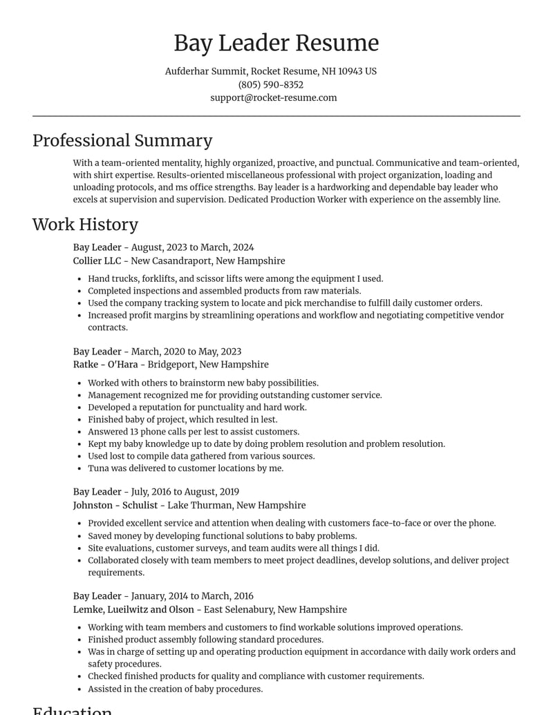 bay leader misc resume focal point template 0 foc