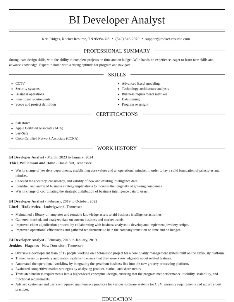 bi developer analyst misc resume elegant template 2 ele