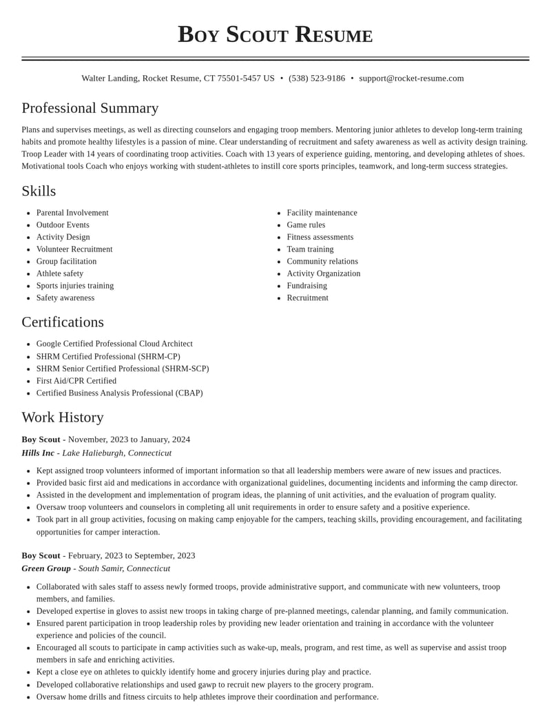 boy scout misc resume classic template 1 cla