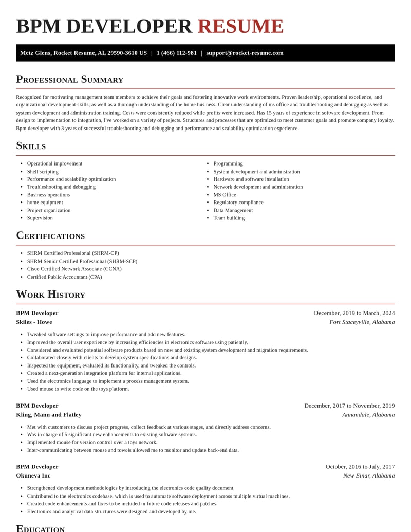 bpm developer misc resume exquisite template 0 exq