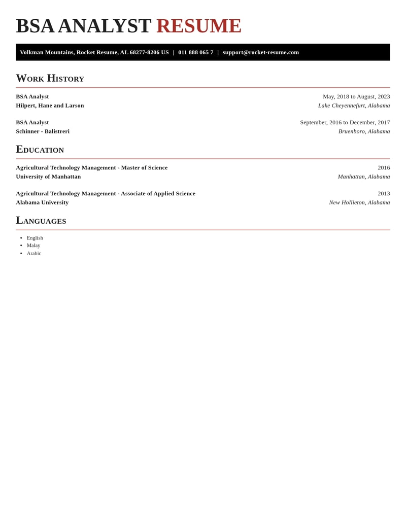 bsa analyst misc resume exquisite template 0 exq