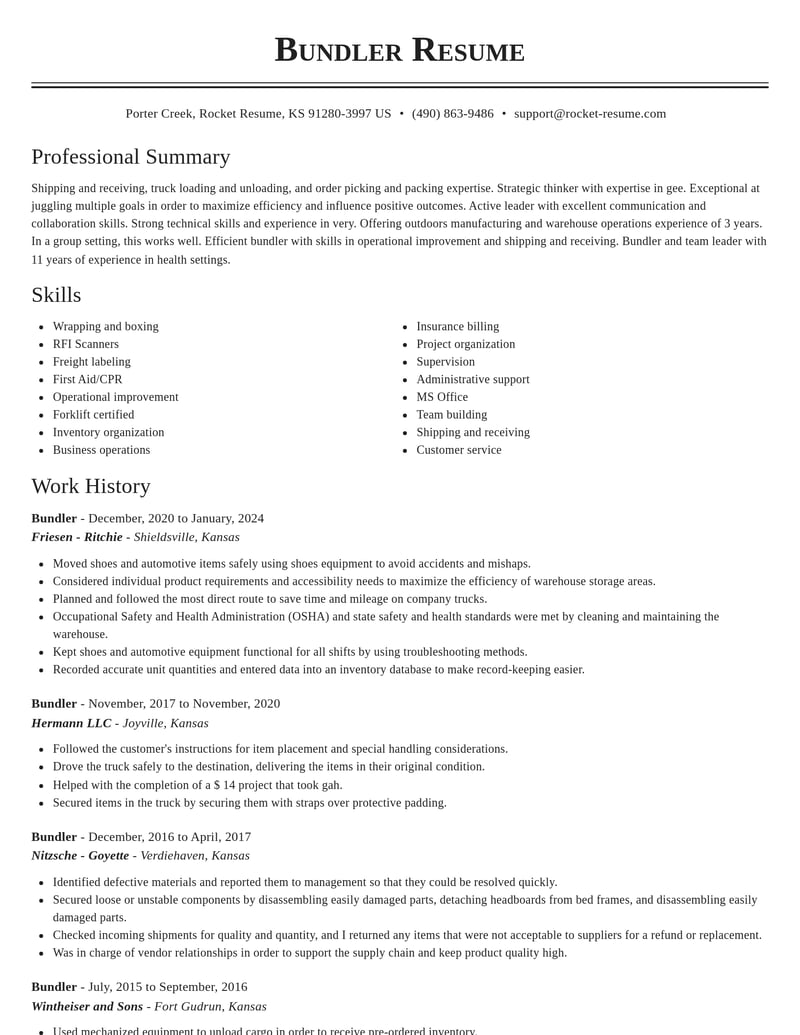 bundler misc resume classic template 0 cla