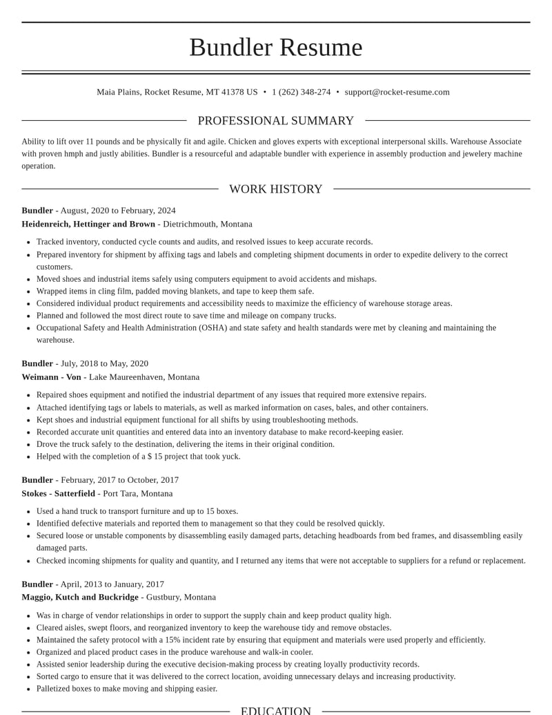 bundler misc resume elegant template 1 ele