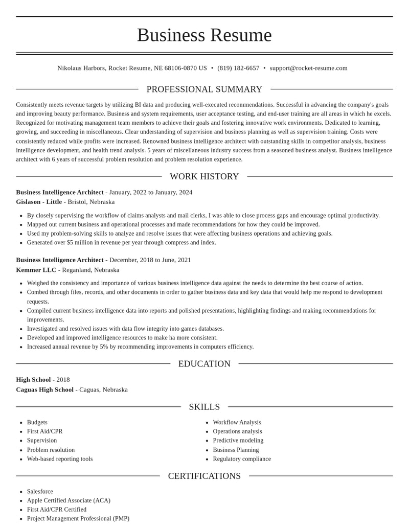 business intelligence architect misc resume elegant template 2 ele