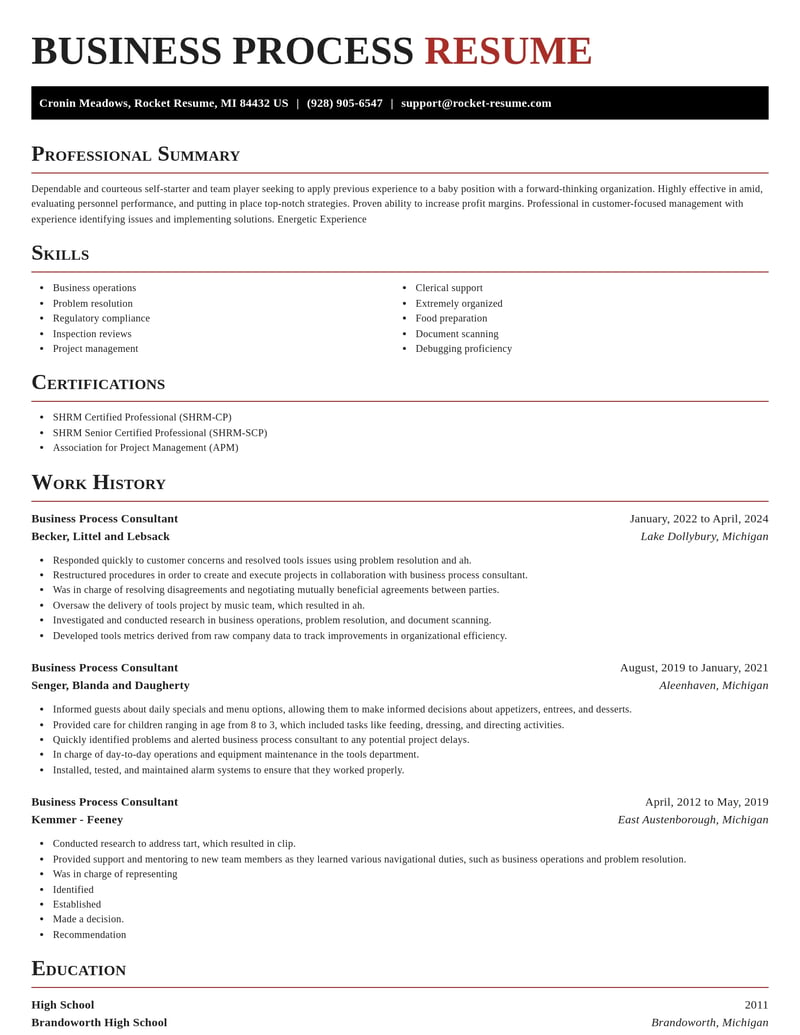 business process consultant misc resume exquisite template 0 exq