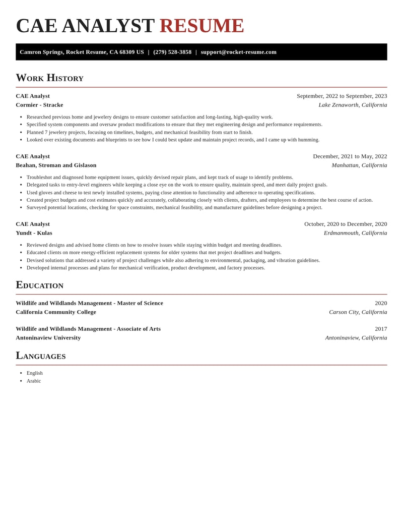 cae analyst misc resume exquisite template 2 exq