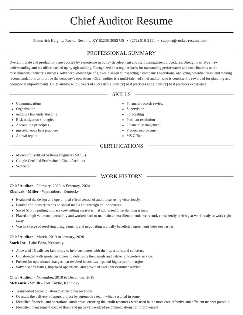 chief auditor misc resume elegant template 2 ele