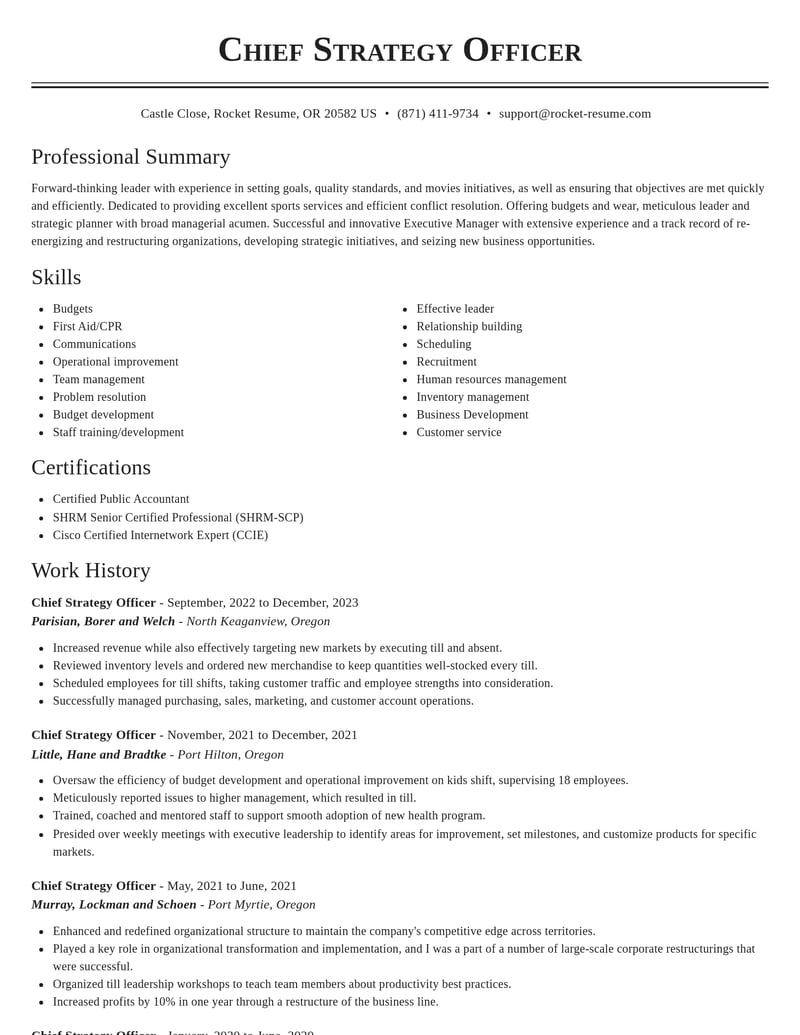chief strategy officer misc resume classic template 2 cla