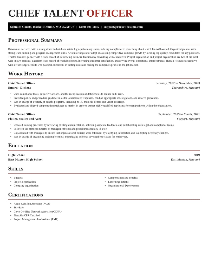 chief talent officer misc resume exquisite template 2 exq