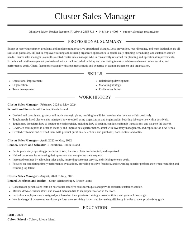 cluster sales manager misc resume elegant template 2 ele