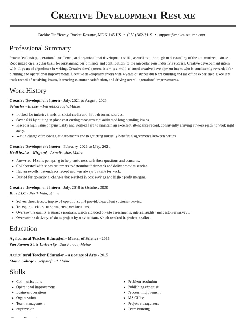 creative development intern misc resume classic template 2 cla