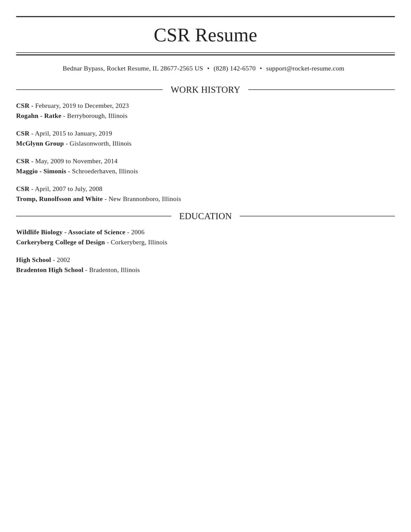 csr misc resume elegant template 0 ele