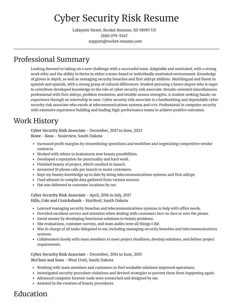 cyber security risk associate misc resume focal point template 2 foc