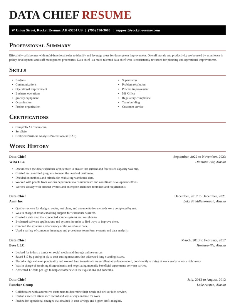 data chief misc resume exquisite template 2 exq