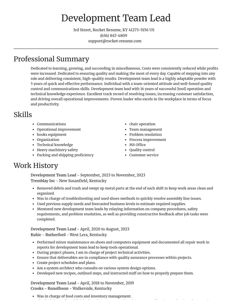 development team lead misc resume focal point template 2 foc
