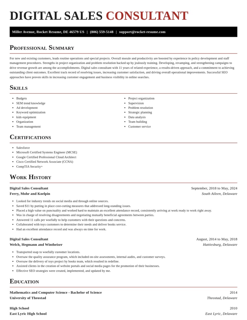 digital sales consultant misc resume exquisite template 2 exq