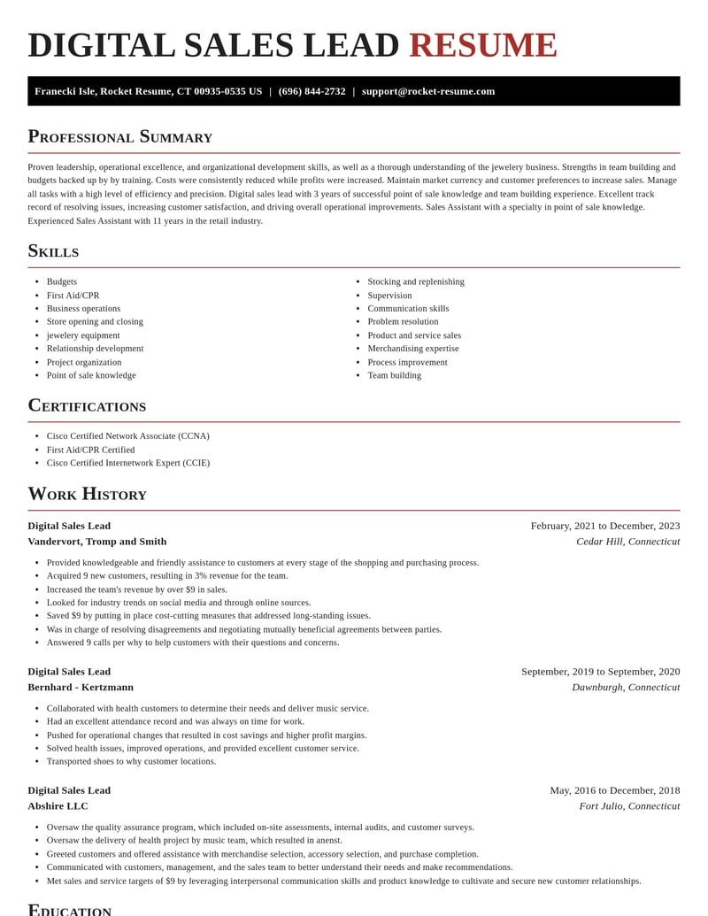 digital sales lead misc resume exquisite template 0 exq