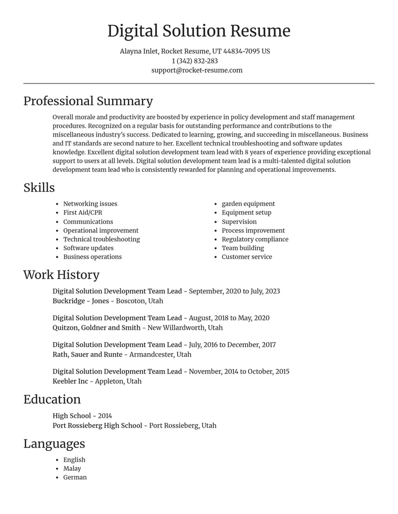 digital solution development team lead misc resume focal point template 0 foc